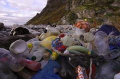 Pacific garbage patch: 6 effortless ways you can make a difference